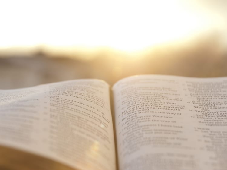 Bible open in the sun