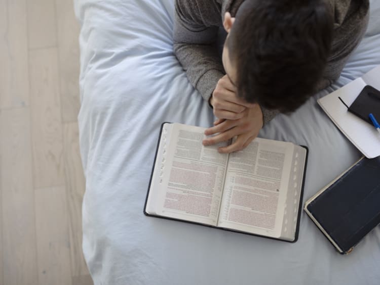 Boy reading the Bible