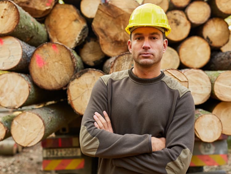 professional forester in front of logs