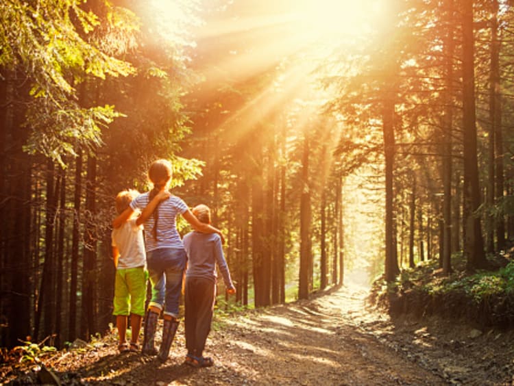 Children walking with God in a forest with sun rays passing through trees