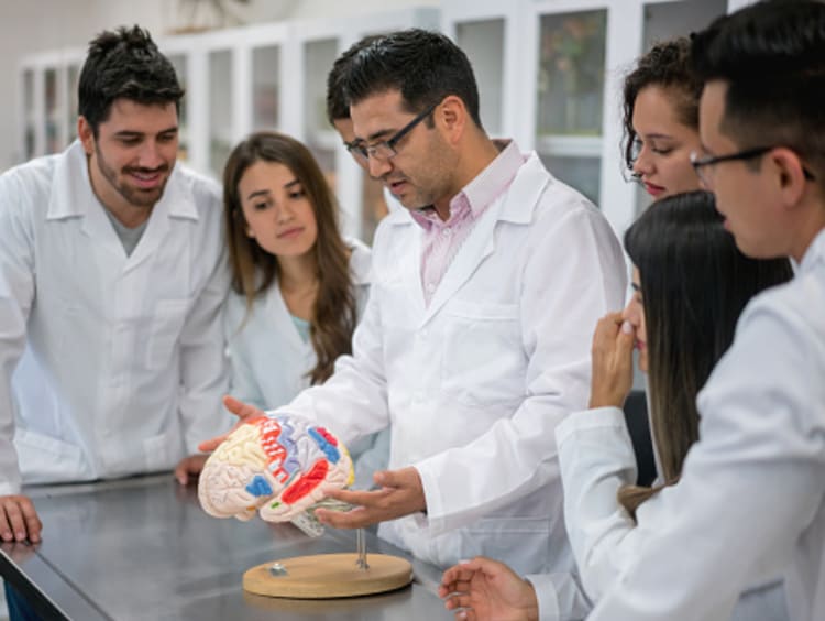 students learning about cognitive neuroscience in a lecture