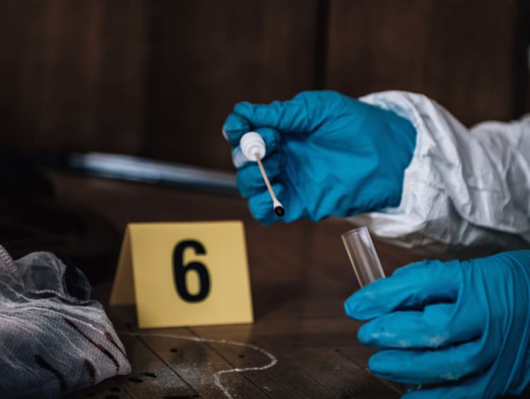 fingerprint analyst at crime scene