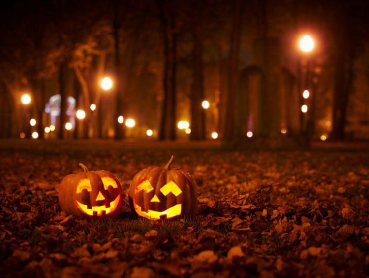 Jack-O-Lanterns lit on a dark road with fall leaves