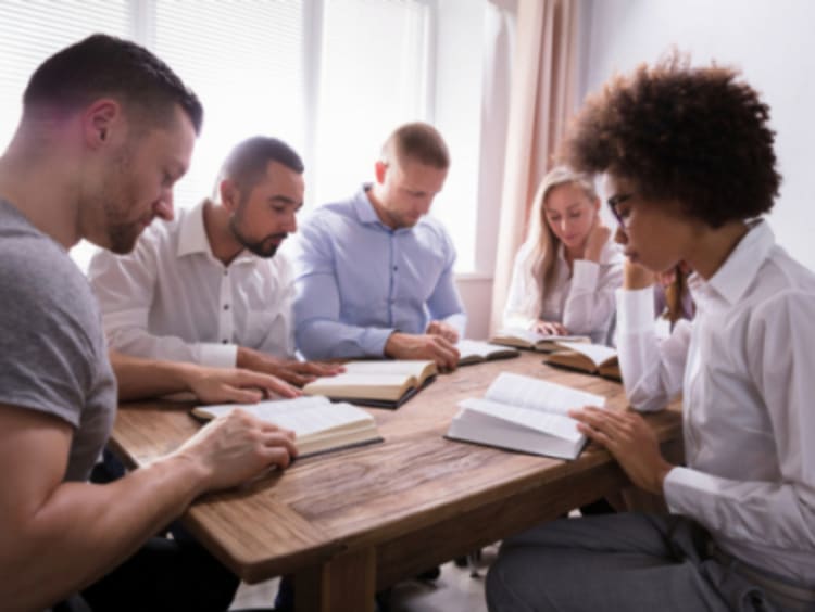 Group reading bible