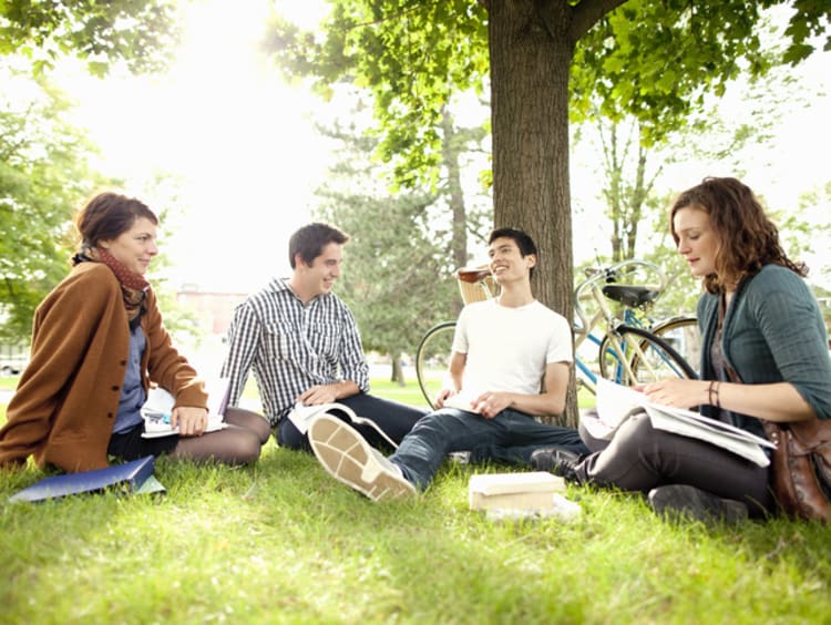 Students studying in grass at park