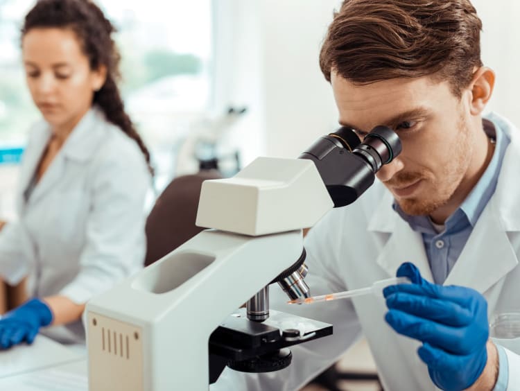 Biologist studies sample through a microscope in a lab