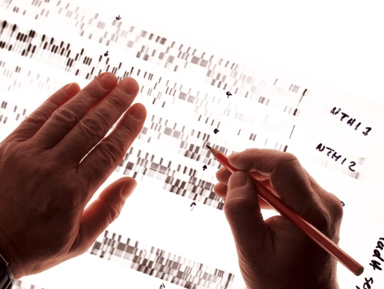 Man analyzes overlays on forensic chart