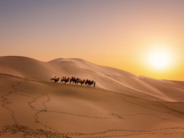 Person wandering in desert landscape