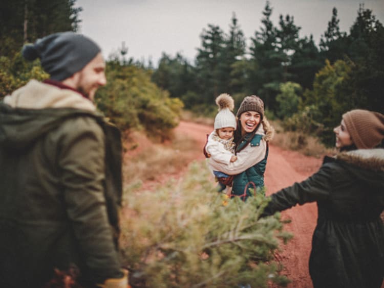 Smiling family serving each other