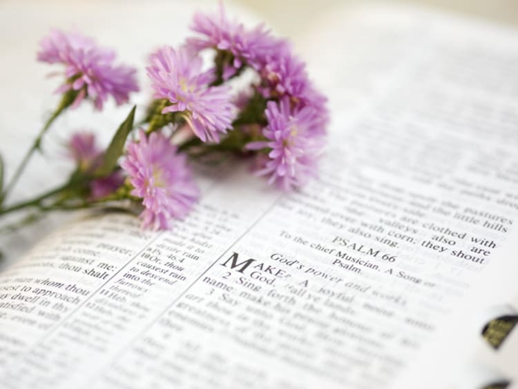 Pink flowers laying on a Bible opened to Psalm 66