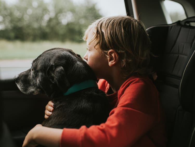 Little boy in a red shirt holding his dog in the car and both are looking out the window