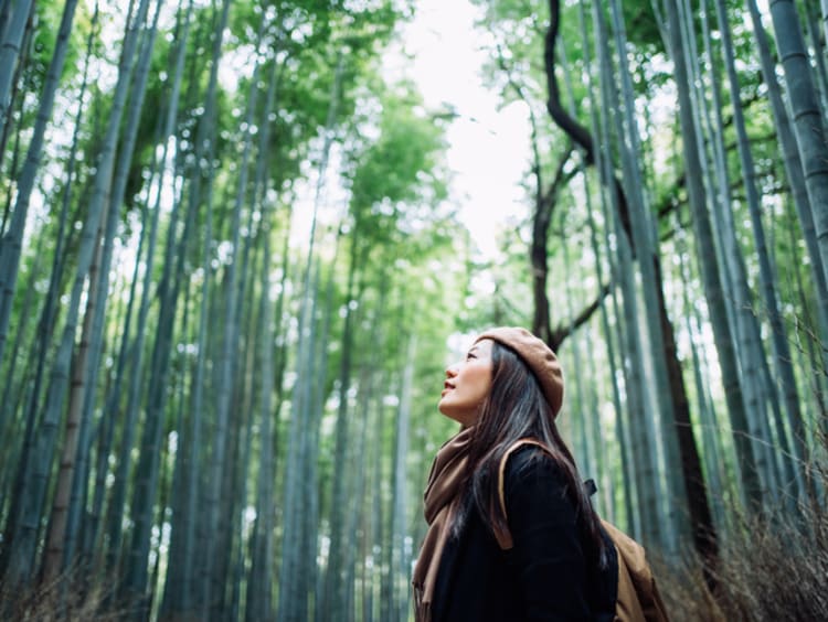 Woman taking in the beauty of God's creation in the forest 