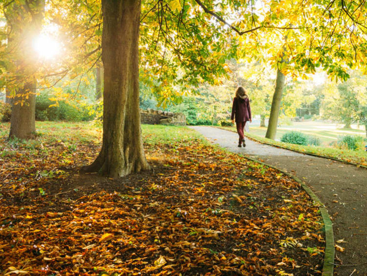 girl walking on path in a park