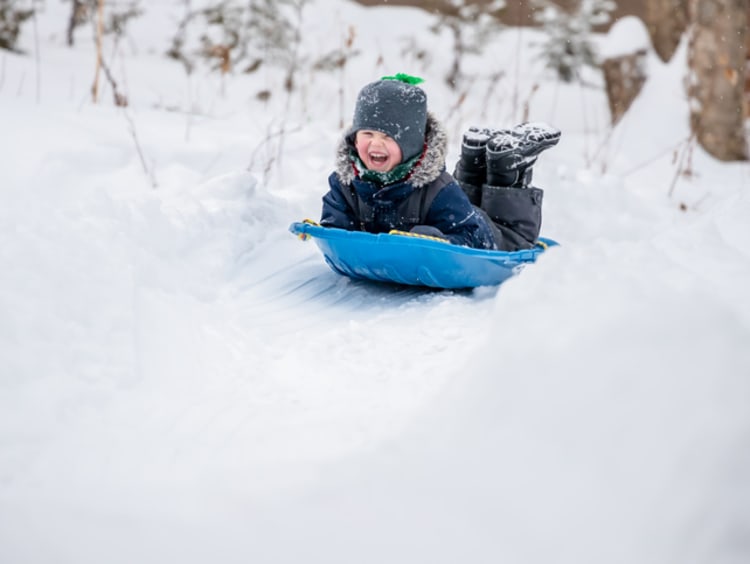 Joyful little boy sledding in the snow