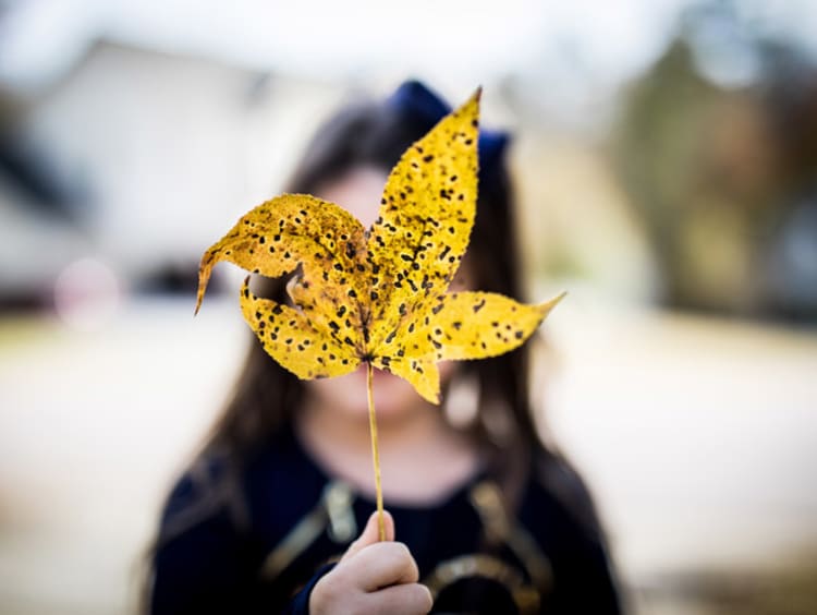 girl holding a leaf in front of her face