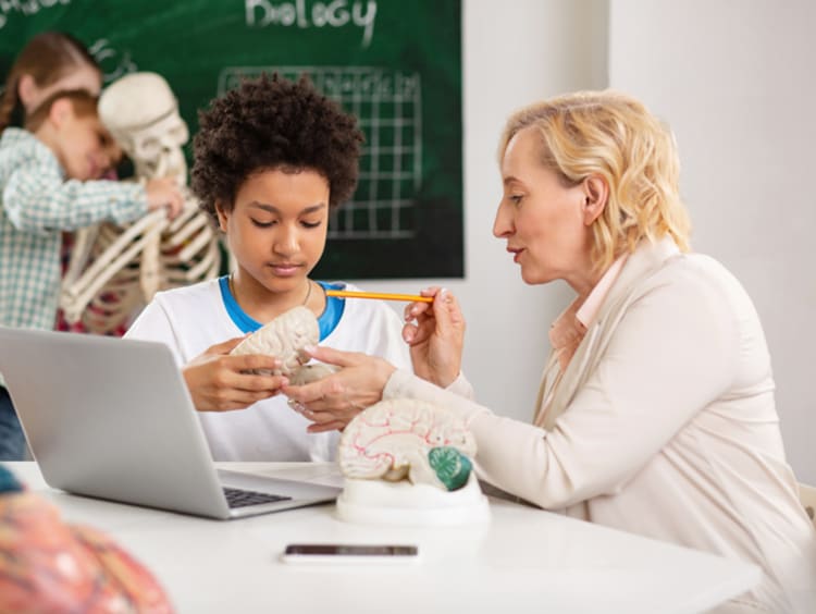 Biology teacher explains the functions of the brain to student