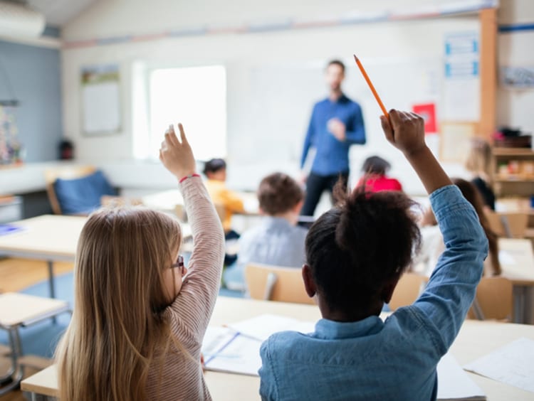 young students raising hands in class