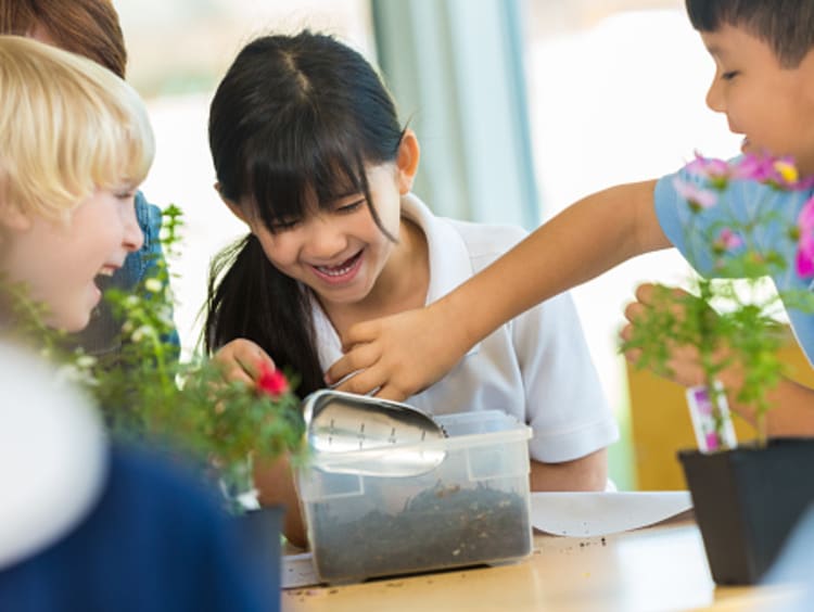 Elementary students learning about science through plant habitats