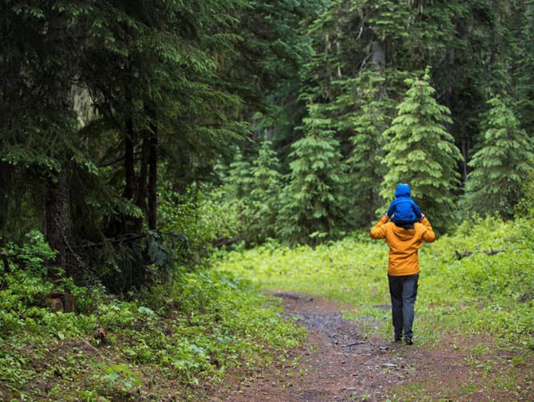 Father carries son through a forest trail