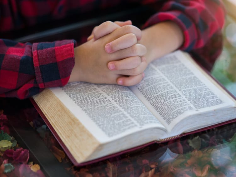 hands held together on top of a bible