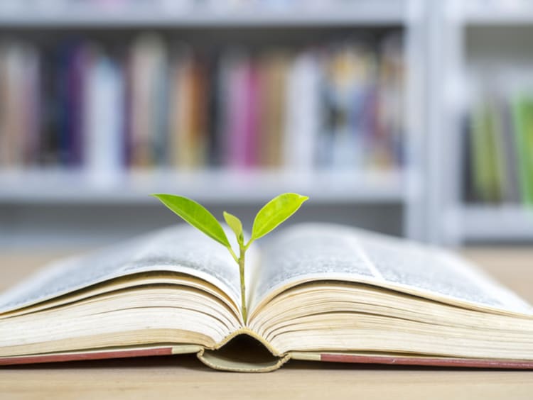 leaf sticking out of a book