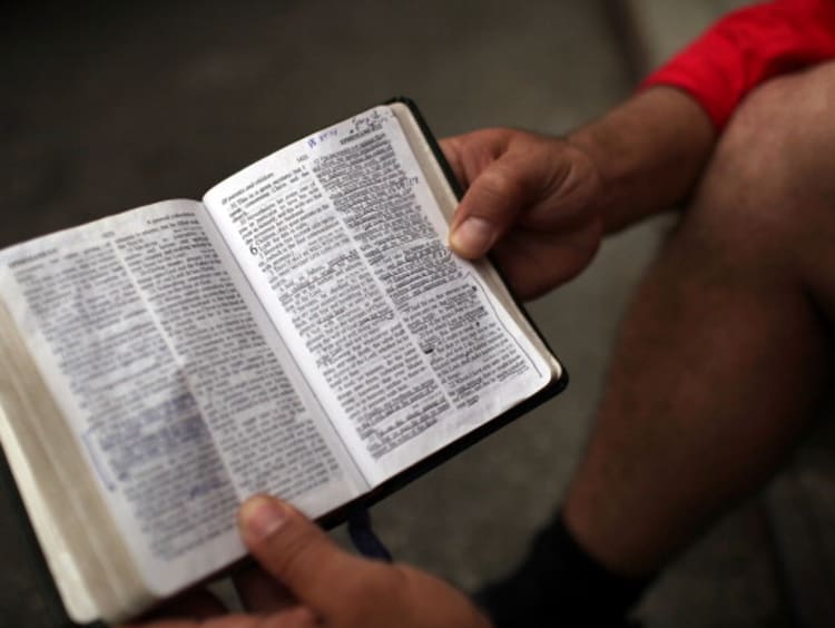 person holding bible