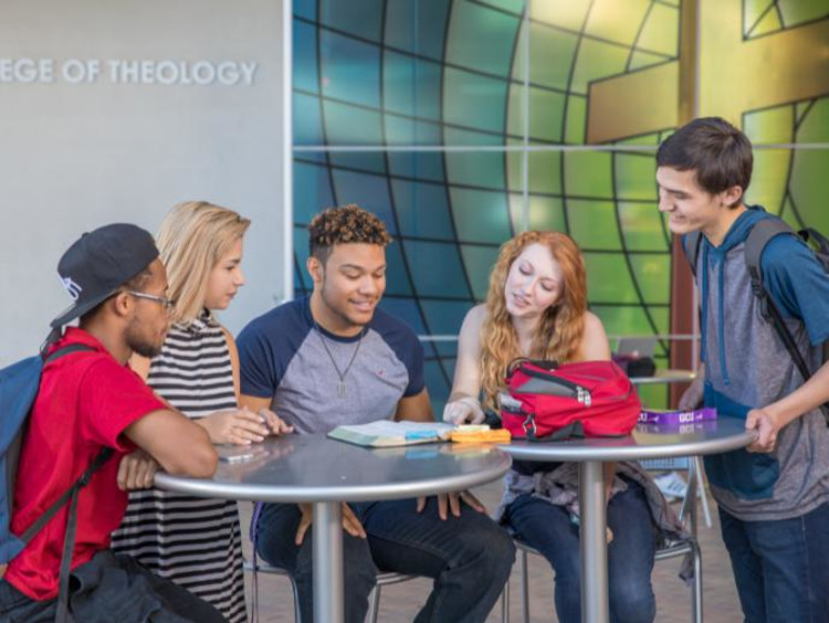 students studying outside