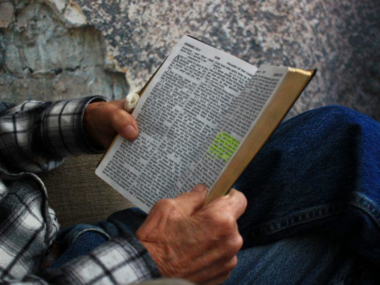 person reading a bible