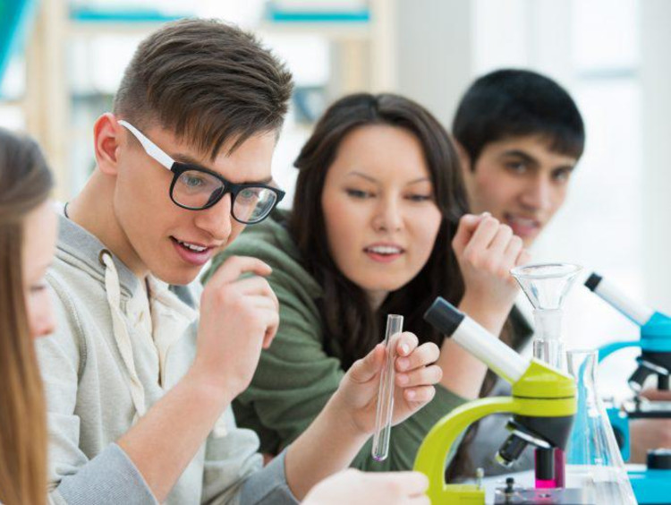 students working in lab
