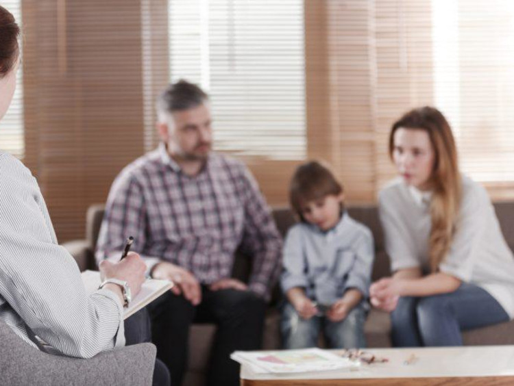 Family meets with a family dynamics counselor