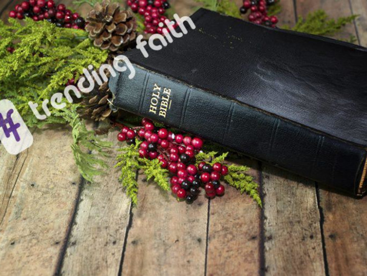 bible and holly
