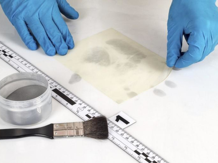 person analyzing a handprint