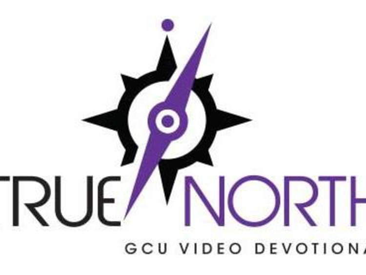 True North Logo