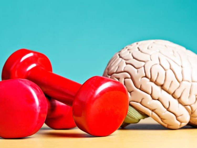 Pair of red fitness barbells next to brain for sports psychology concept