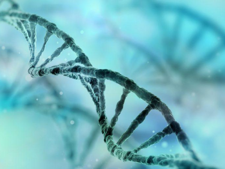 DNA diagram