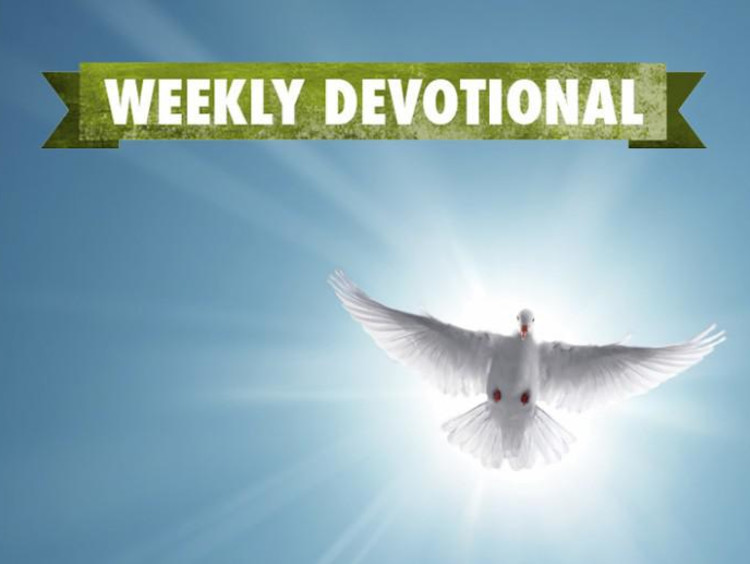 A white dove under the Weekly Devotional banner