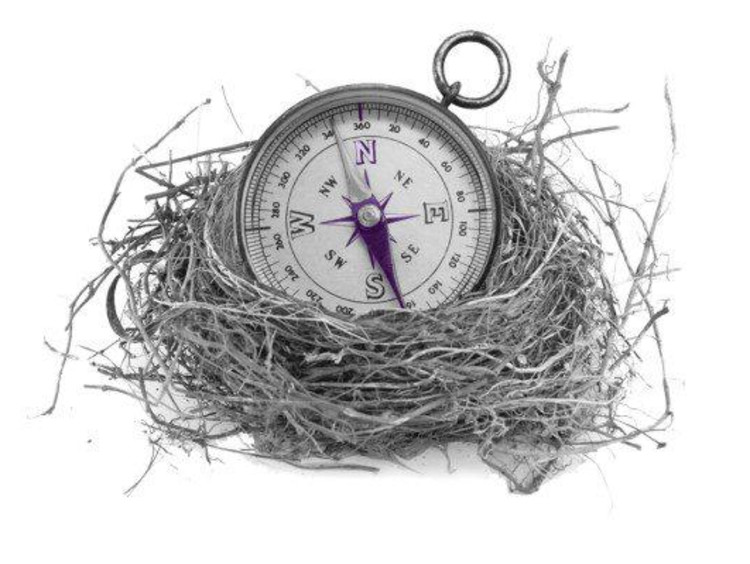 compass in nest