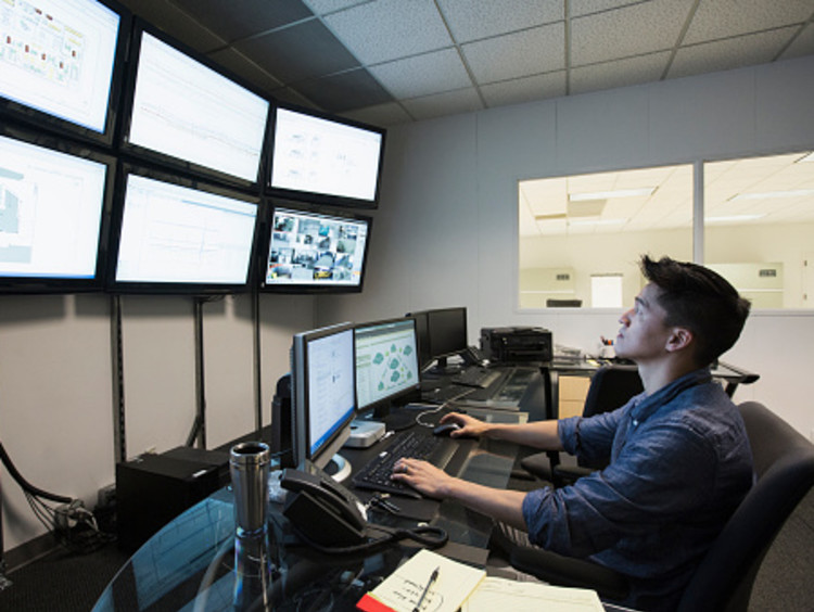 Cyber Security employee helping monitor networks