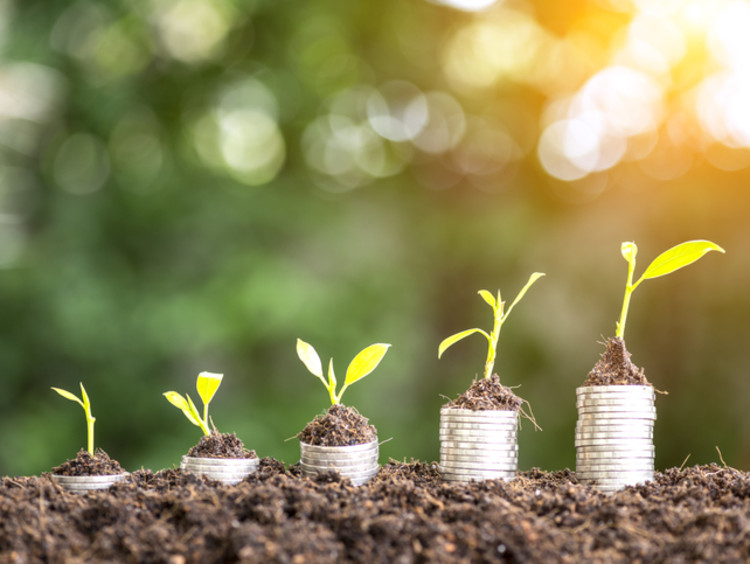Plants growing on top of coins
