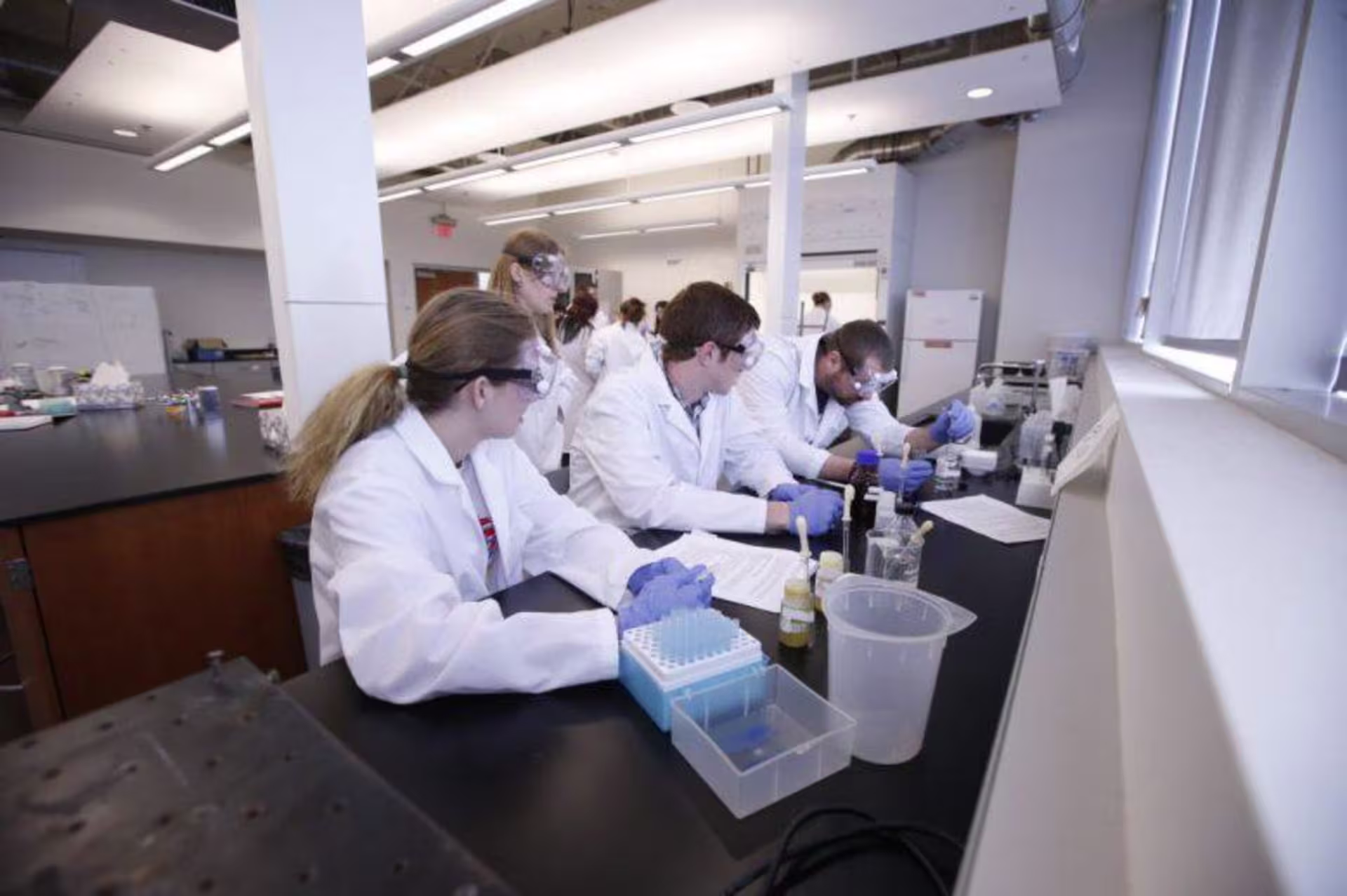 scientists working in a lab