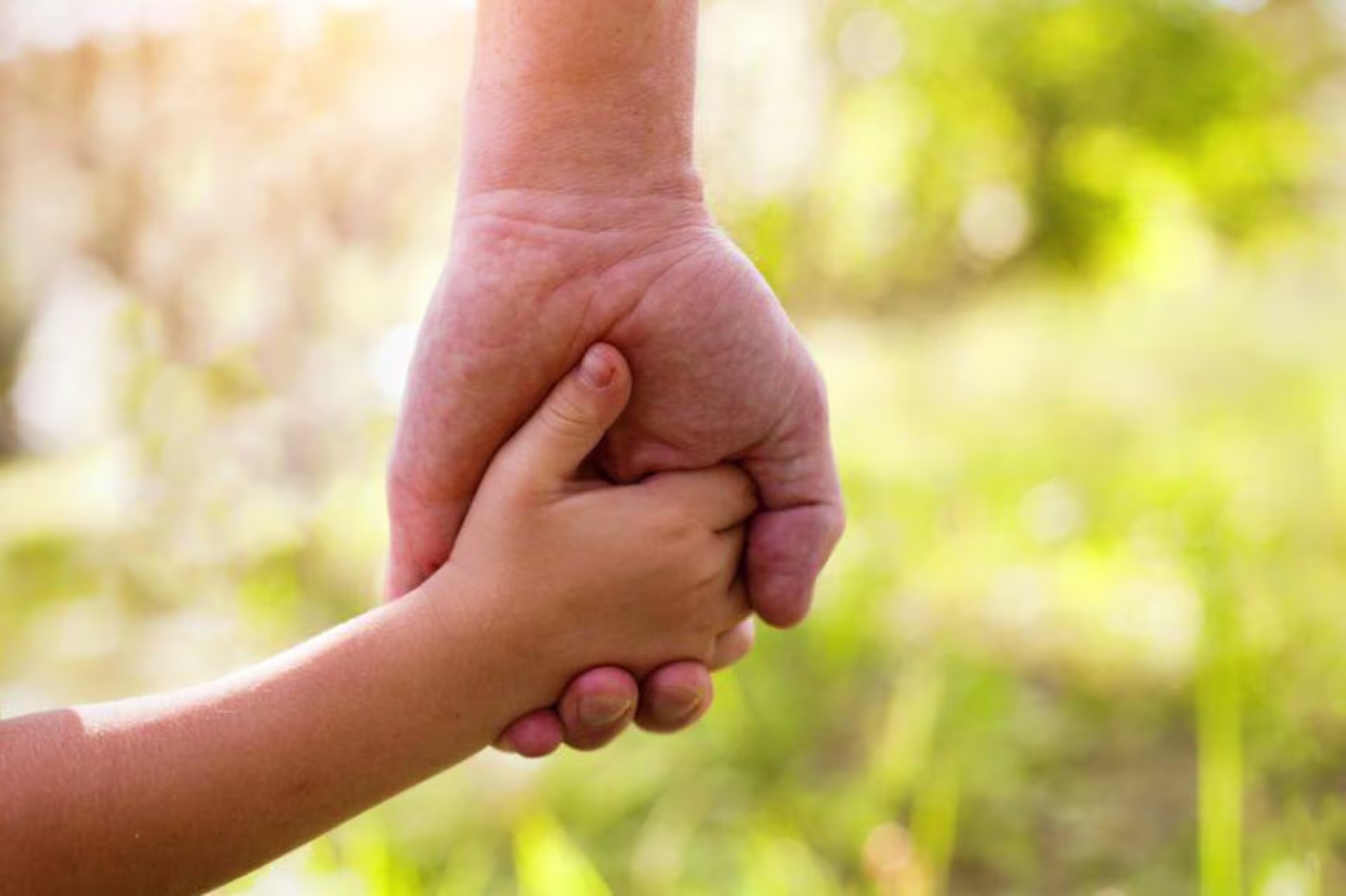 Adult hand holds child's hand with green foliage in background
