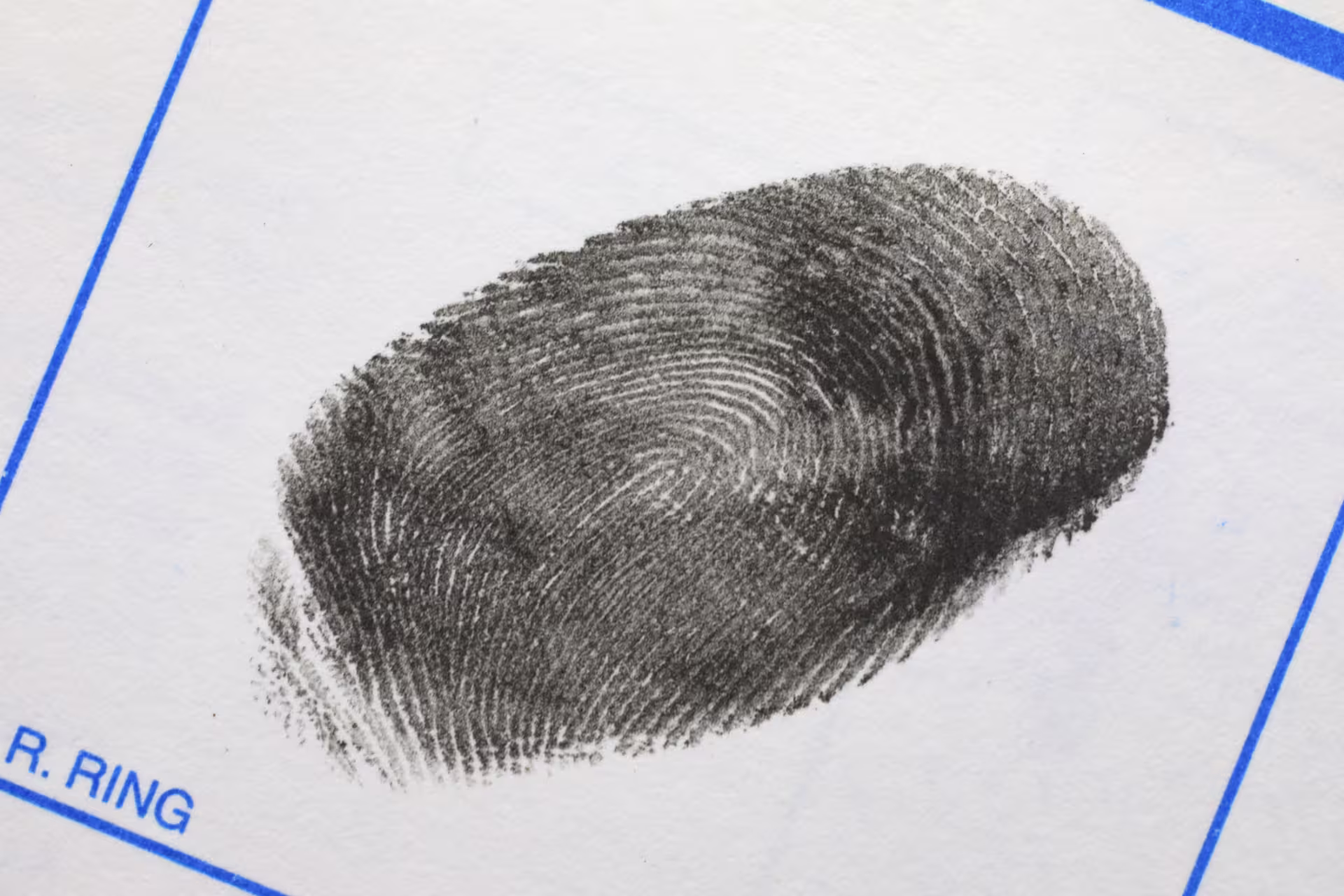 Fingerprint on a white page in a blue box labelled “R. Ring.”