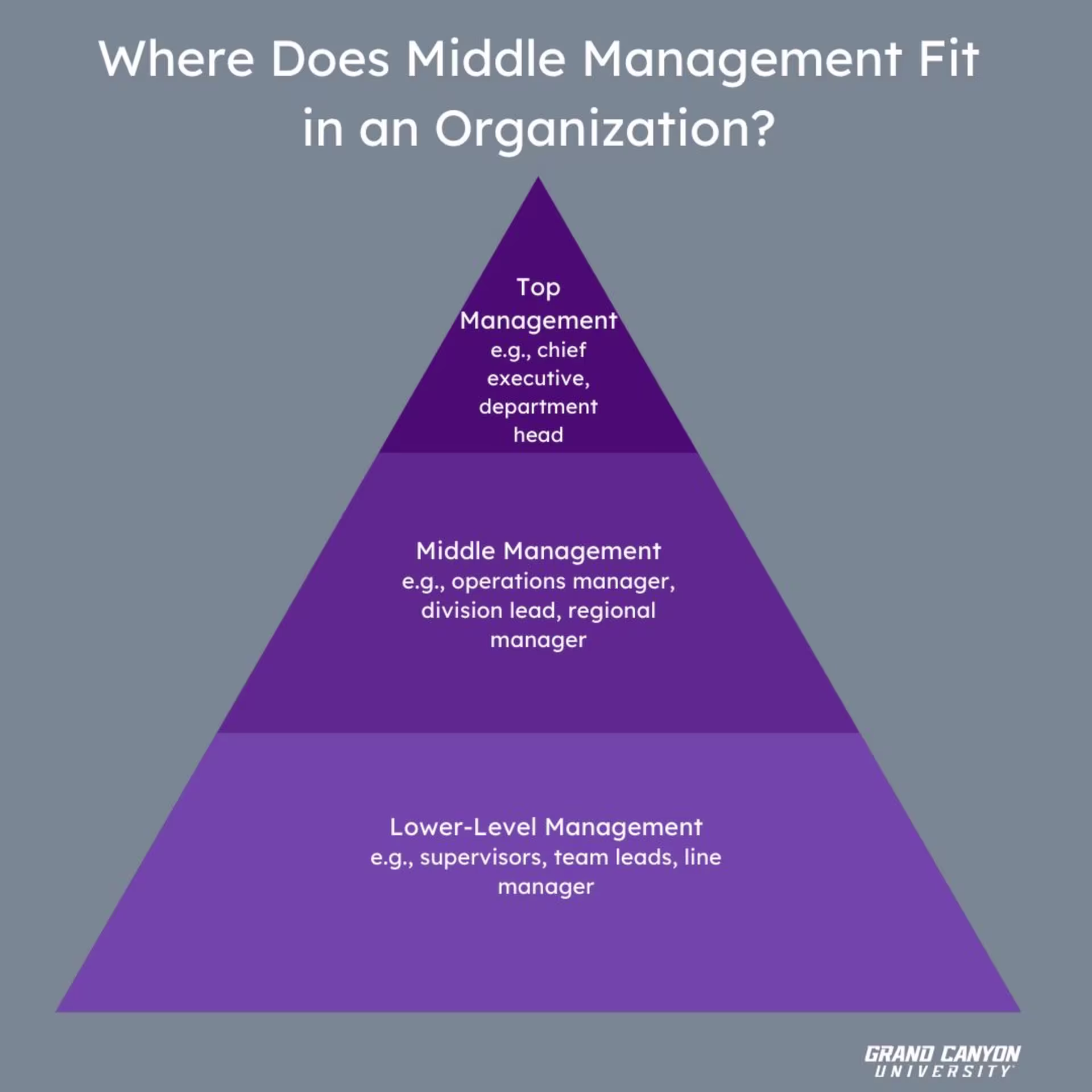 A pyramid diagram showing top, middle and lower‑level management roles, with examples listed under each level.