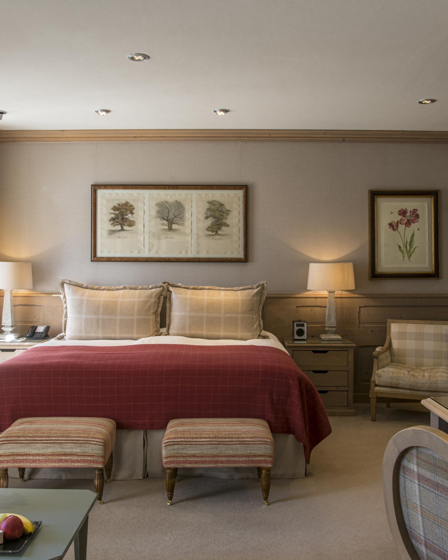 Deluxe Room Mountain View