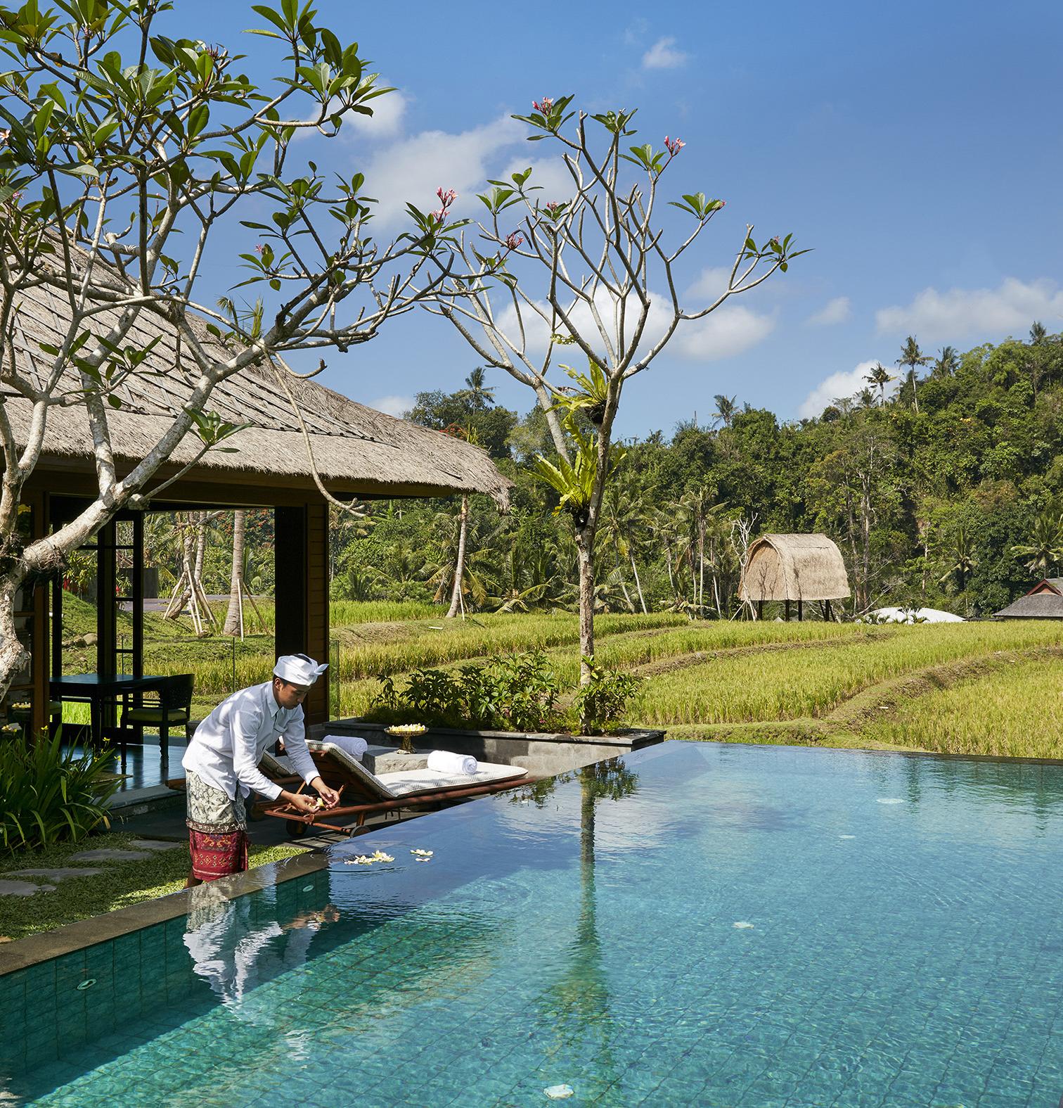 One Bedroom Rice Terrace Pool Villa