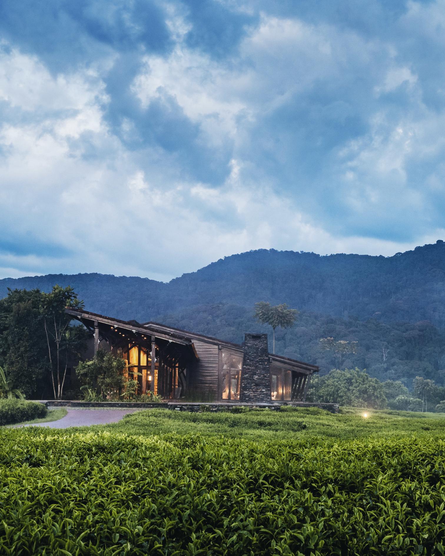 One&Only Nyungwe House