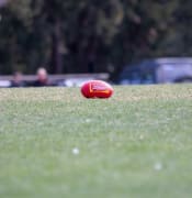 FOOTBALL AFL FOOTY Image by Squirrel photos from Pixabay