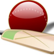 cricket 150561 1280 Pixabay
