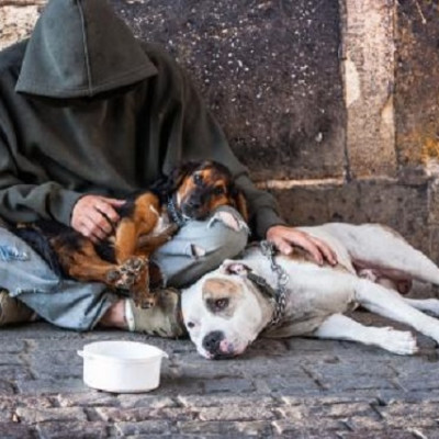 homeless_man_and_dogs_10.jpg