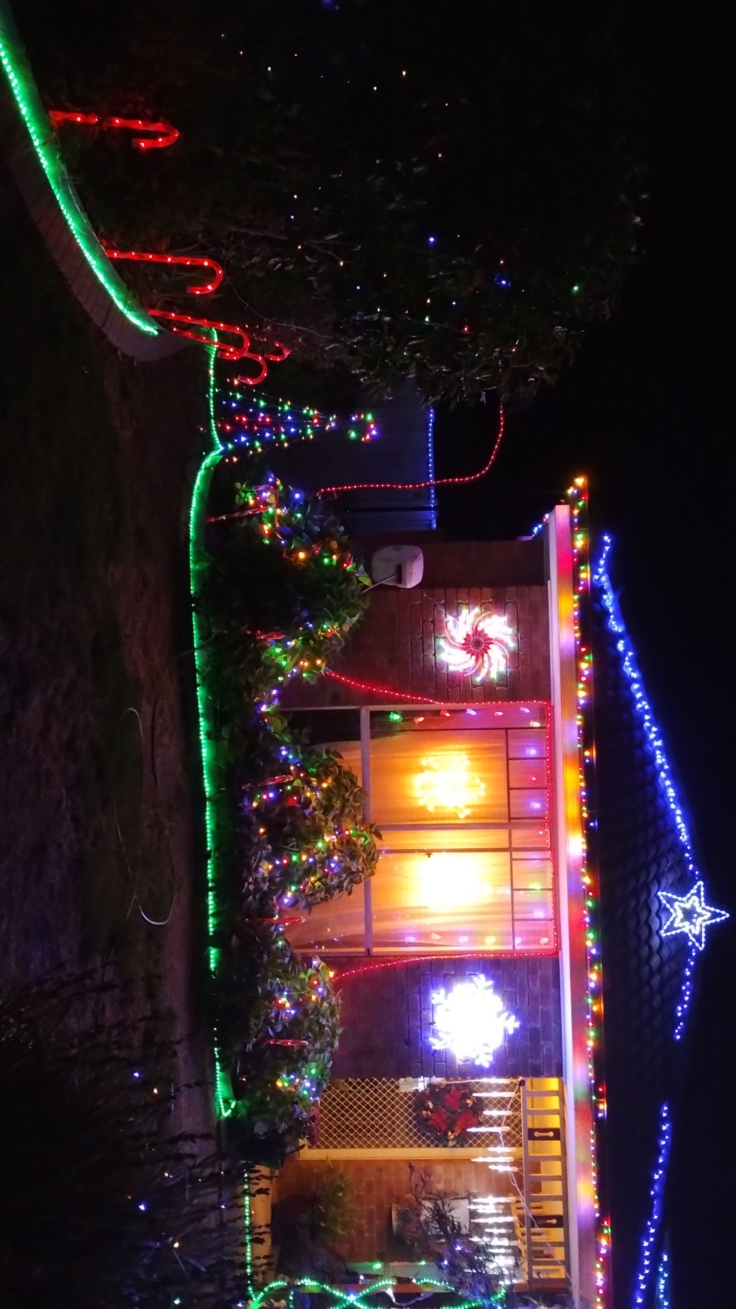 10 Wicklow drive Invermay park 2023 Christmas Lights 3BA